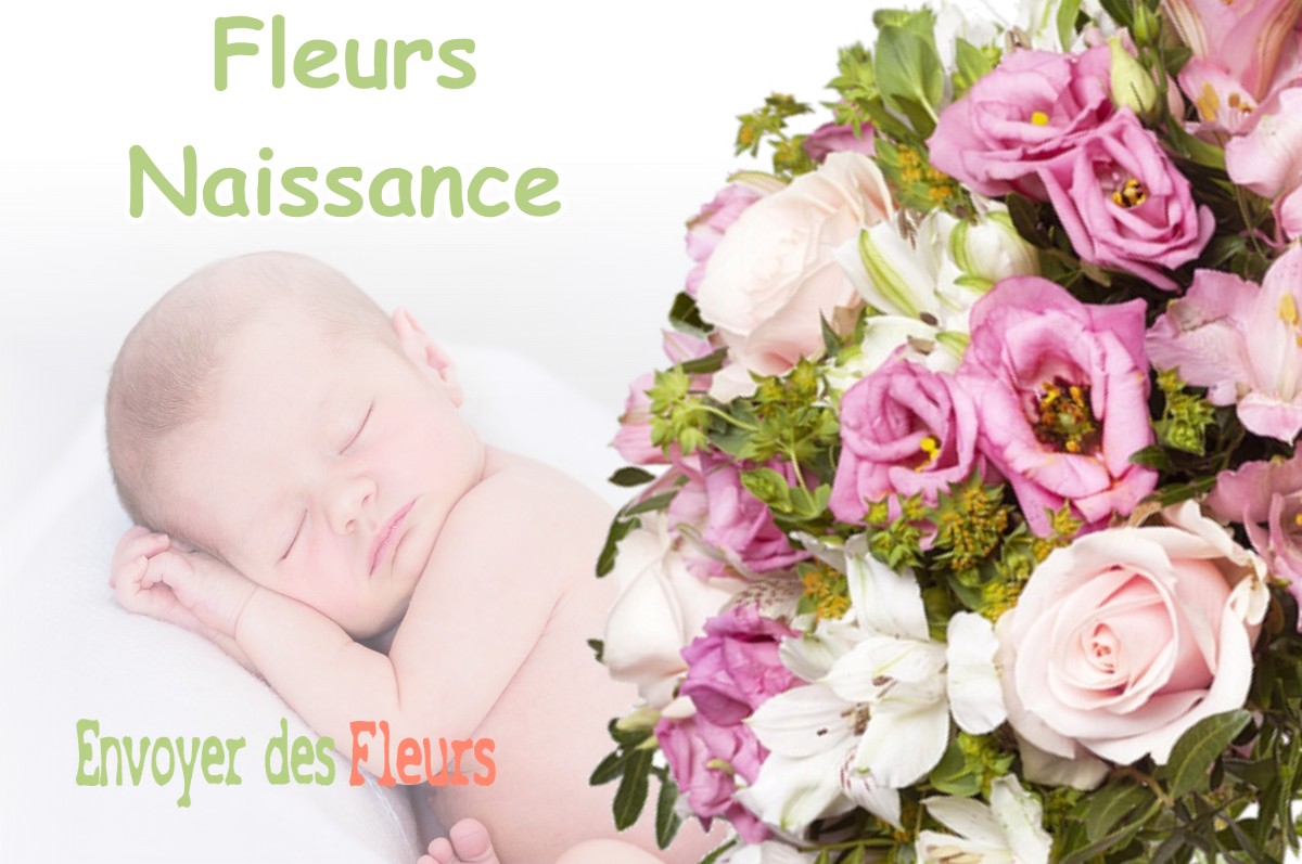lIVRAISON FLEURS NAISSANCE à MONHEURT